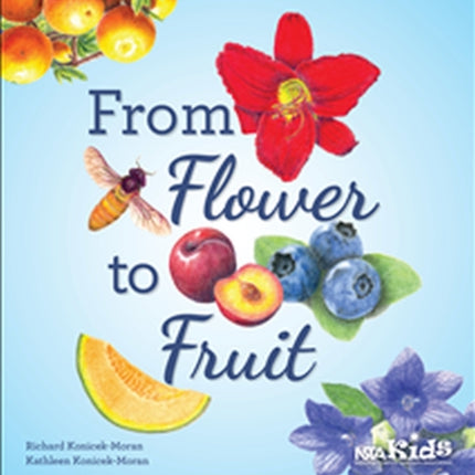 From Flower to Fruit