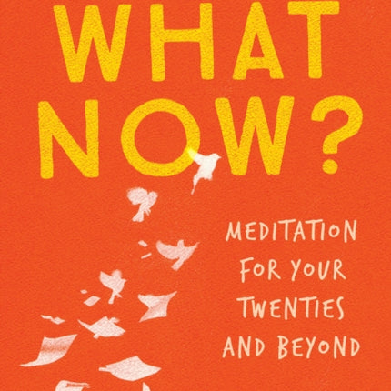 What Now?: Meditation for Your Twenties and