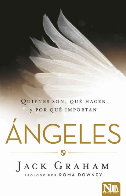 Angeles: Quiénes son, qué hacen y por qué importa / Angels