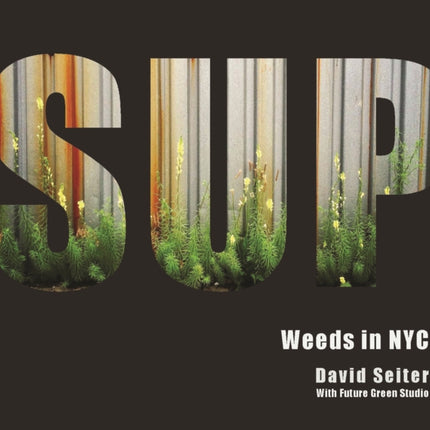 Spontaneous Urban Plants: Weeds in NYC