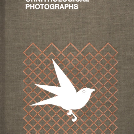 Ornithological Photographs