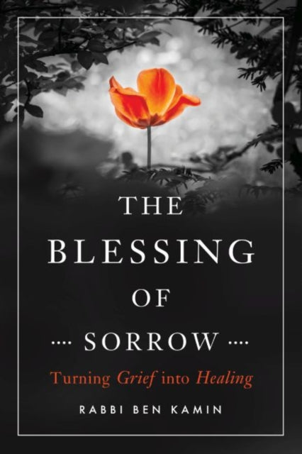 The Blessing of Sorrow