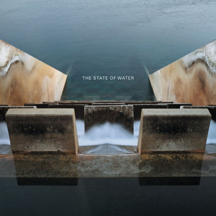 Brad Temkin: The State of Water