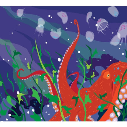 Puget Sound Pacific Octopus Art Print 11x14