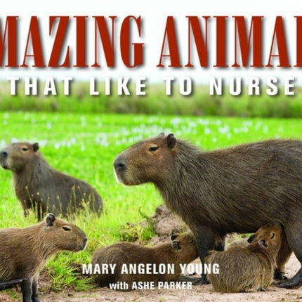 Amazing Animals: That Like to Nurse