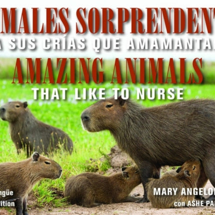 Animales Sorprendentes / Amazing Animals - English & Spanish Bilingual Edition: Que Amamantan a Sus Crias / That Like to Nurse