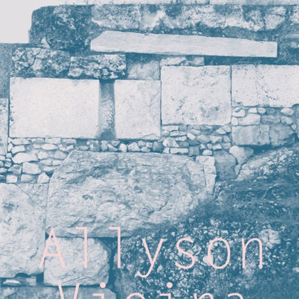 Allyson Vieira  The Plural Present