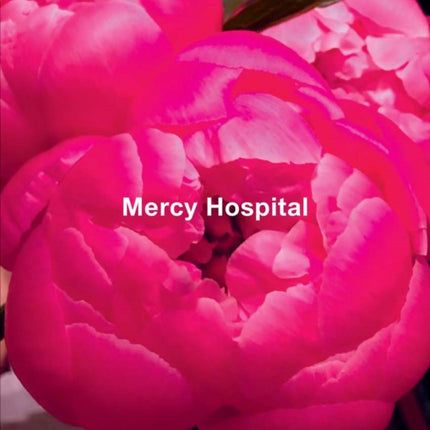 Ida Applebroog: Mercy Hospital