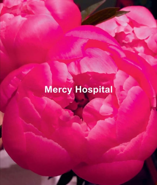 Ida Applebroog: Mercy Hospital