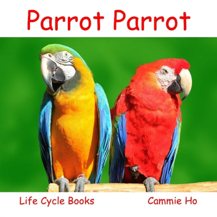 Parrot Parrot
