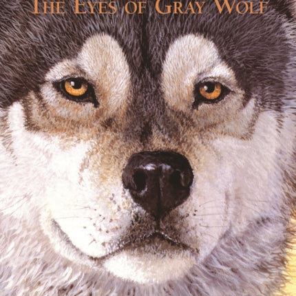 The Eyes of Gray Wolf