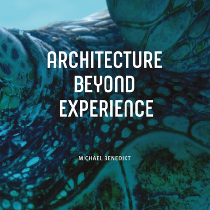 Architecture Beyond Experience