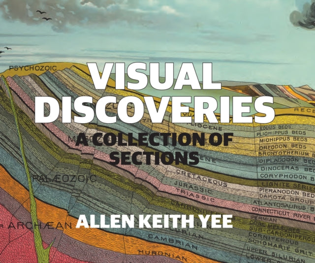 Visual Discoveries: A Collection of Sections