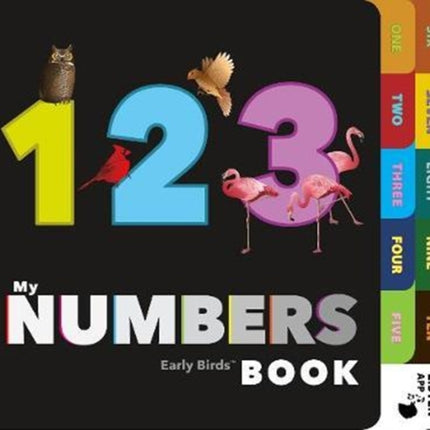 My Numbers Book