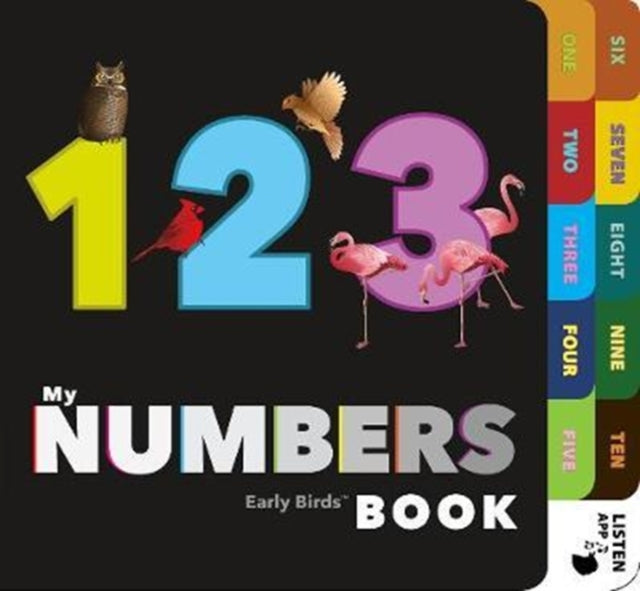 My Numbers Book
