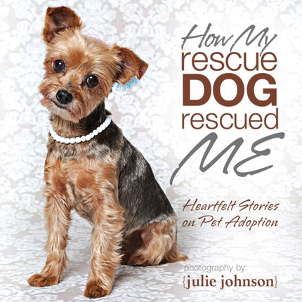 How My Rescue Dog Rescued Me