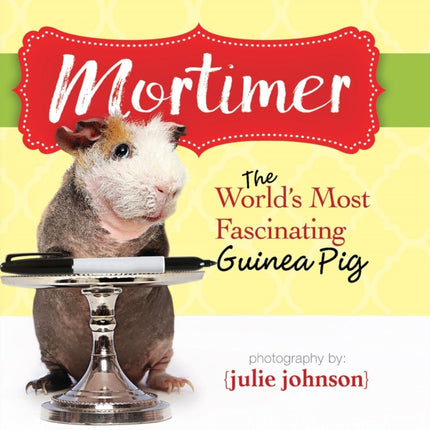 Mortimer, World's Most Fascinating Guinea Pig: