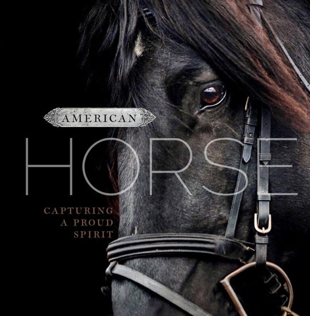 American Horse