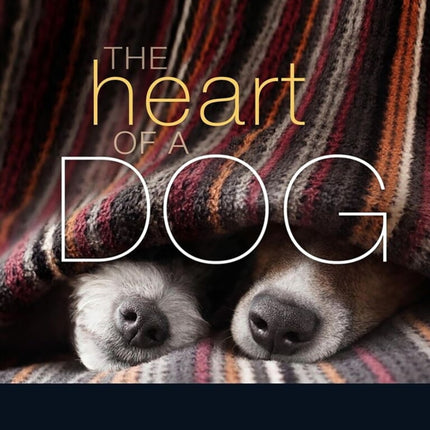 The Heart of a Dog