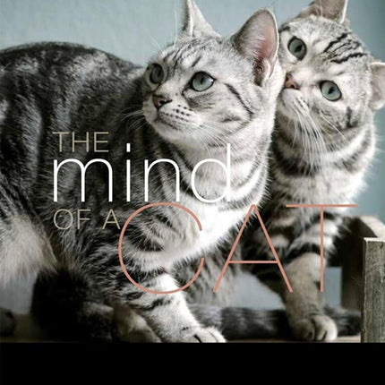 The Mind of a Cat