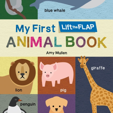 My First Lift-the-Flap Animal Book