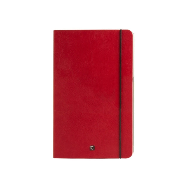 Cartesio Notebook: Red