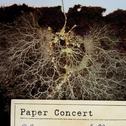 Paper Concert: A Conversation in the Round