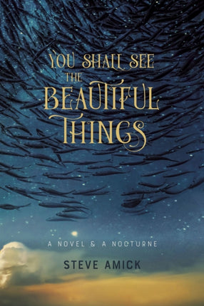 You Shall See the Beautiful Things – A Novel & A Nocturne