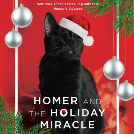 Homer and the Holiday Miracle: A True Story