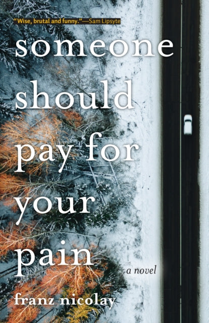 Someone Should Pay for Your Pain: A Novel