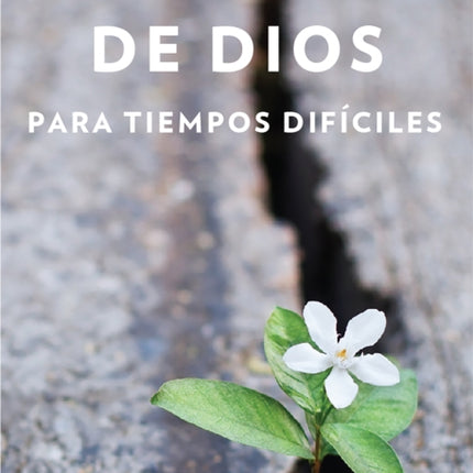 Promesas de Dios para tiempos difíciles / God s Promises when you are hurting