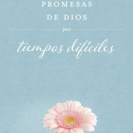 Promesas de Dios para tiempos difíciles / God's Promises when you are hurting