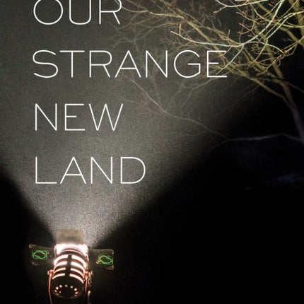 Our Strange New Land: Photographs from Narrative Movie Sets Across the South