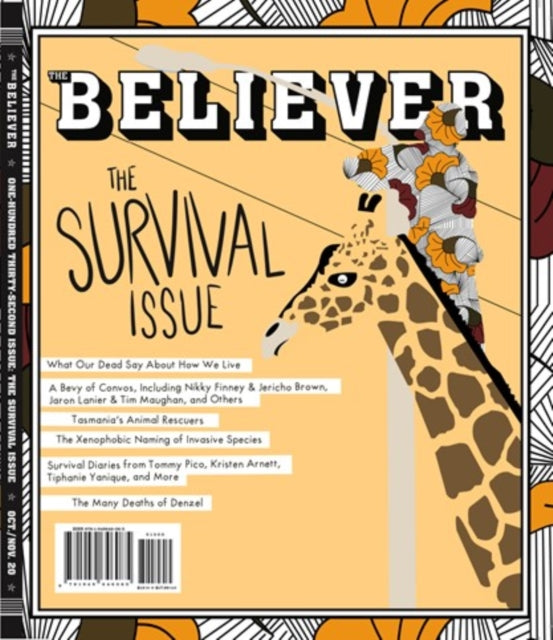 Believer Issue 132