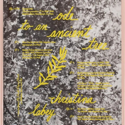 Errata Vol 2