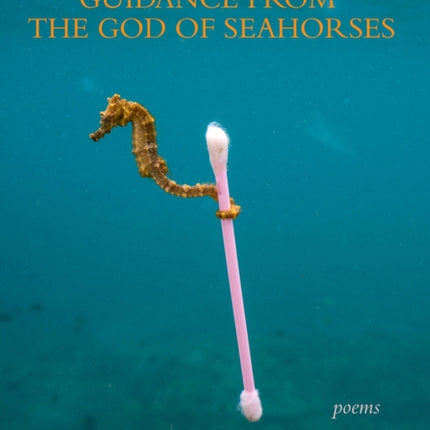 Guidance from the God of Seahorses
