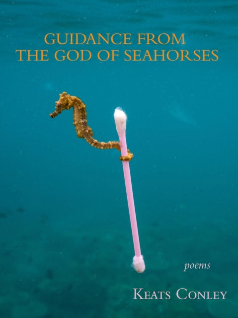 Guidance from the God of Seahorses