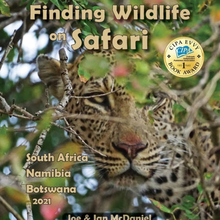 Finding Wildlife On Safari