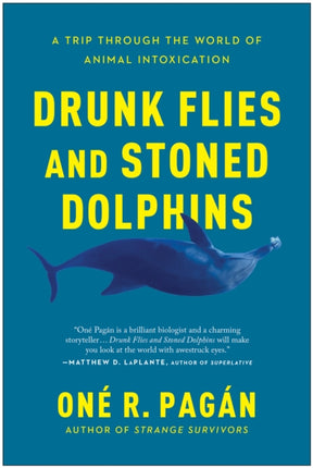 Drunk Flies and Stoned Dolphins: A Trip Through the World of Animal Intoxication