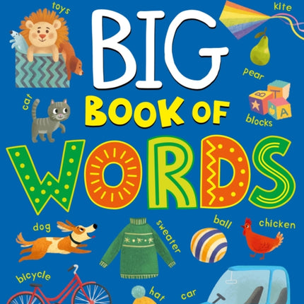 Big Book of Words (A Look and Find Learning Adventure)