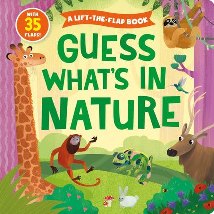 Guess What's in Nature (A Lift the Flap)