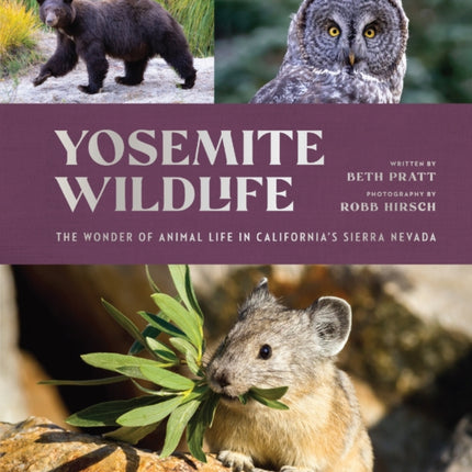 Yosemite Wildlife