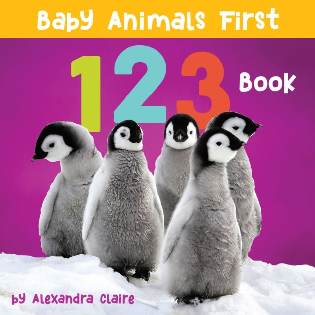 Baby Animals First 123 Book