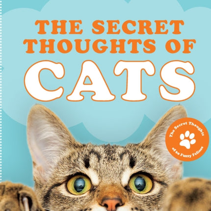 The Secret Thoughts of Cats