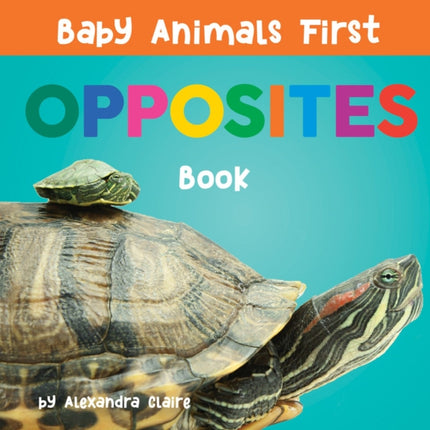 Baby Animals First Opposites Book