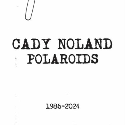 Cady Noland