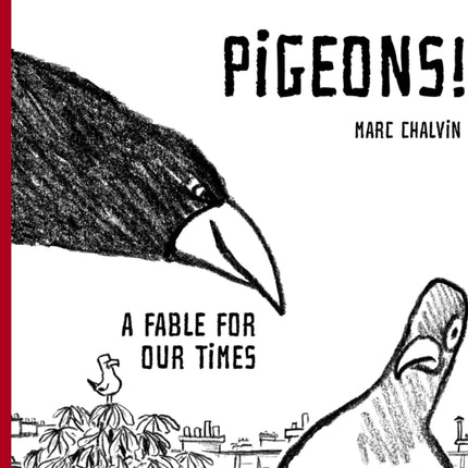 Pigeons