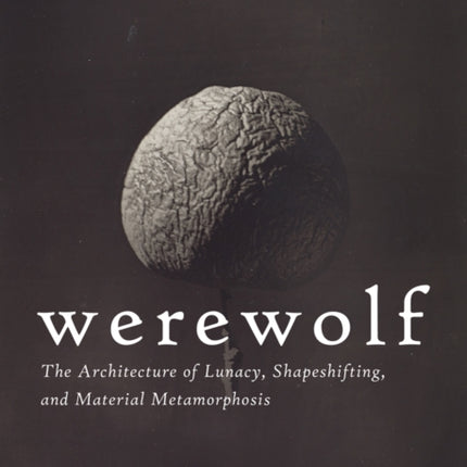 Werewolf: The Architecture of Lunacy, Shapeshifting, and Material Metamorphosis