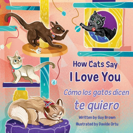 How Cats Say I Love You  CÃmo los gatos dicen te