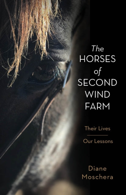 The Horses of Second Wind Farm: Their Lives – Our Lessons